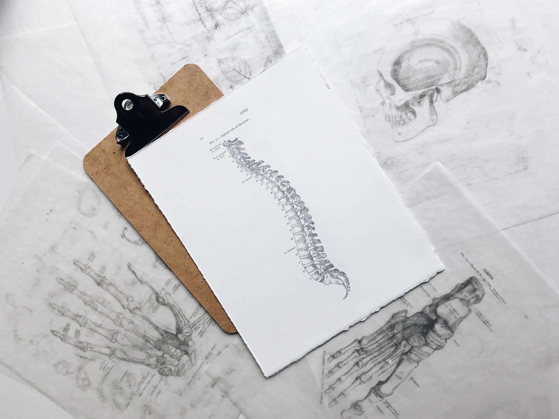 Das Thema Wasserbett – was halten Orthopäden davon?